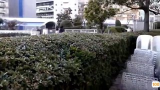 【黄先生探花】包臀裙妹子，骑身上调情镜头前扣逼口交抱起来操